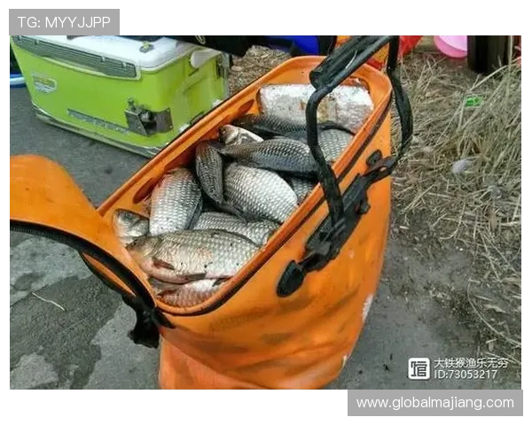 打鱼平台行业发展趋势，未来市场潜力与机遇分析