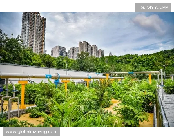 明珠国际：绿色生态环境营造宜居宜业的理想生活与工作环境