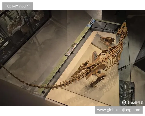 多宝真人的起源地在哪个国家，值得深入了解的历史信息